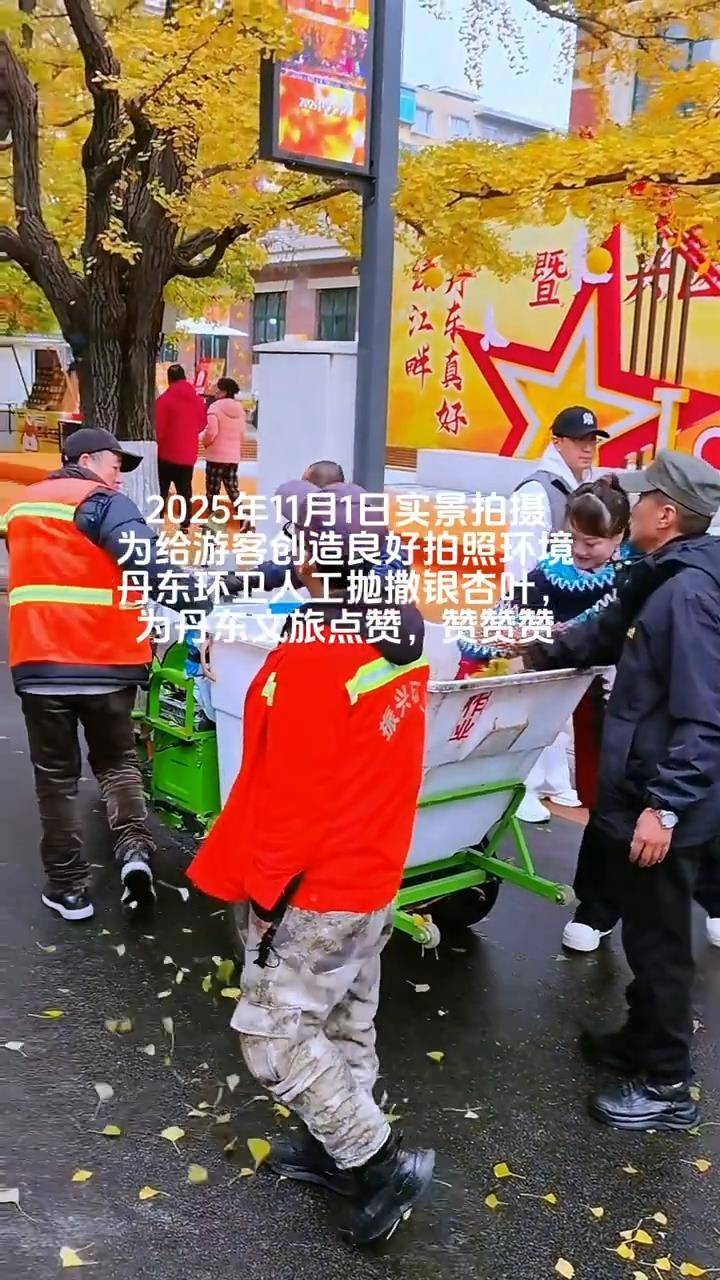 辽宁丹东银杏大道有环卫工人手动抛撒落叶?文旅局:路面落叶较少,从别处收集银杏叶创造良好拍照环境