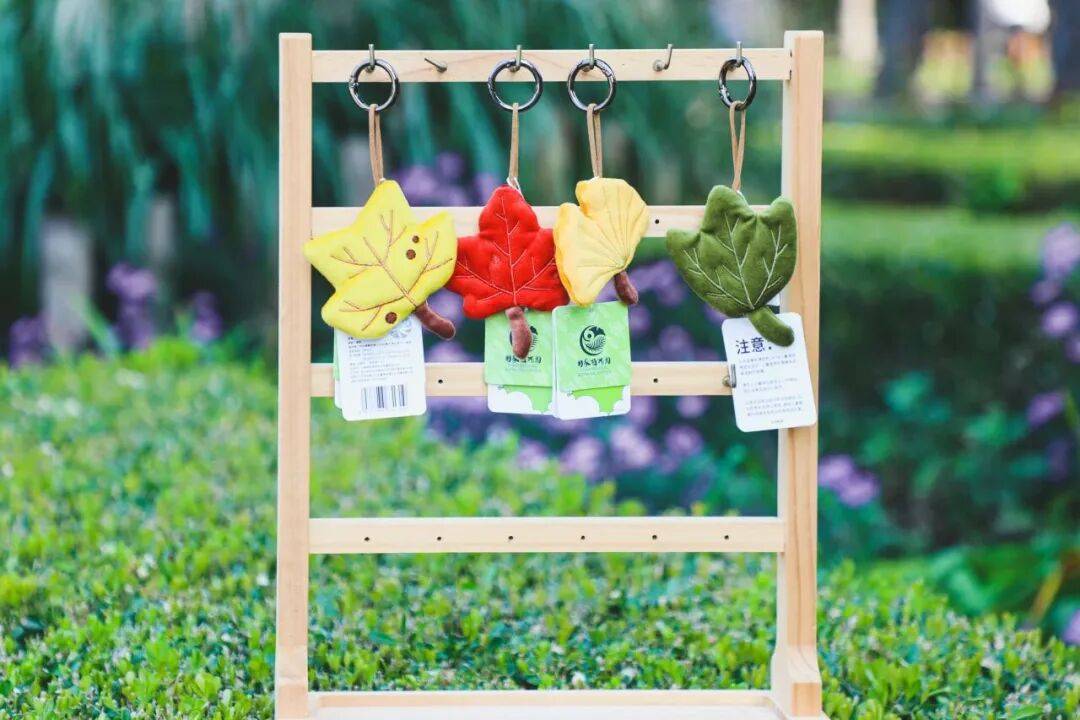 绝美！北京秋季颜值已达巅峰！这样定格最美秋天！