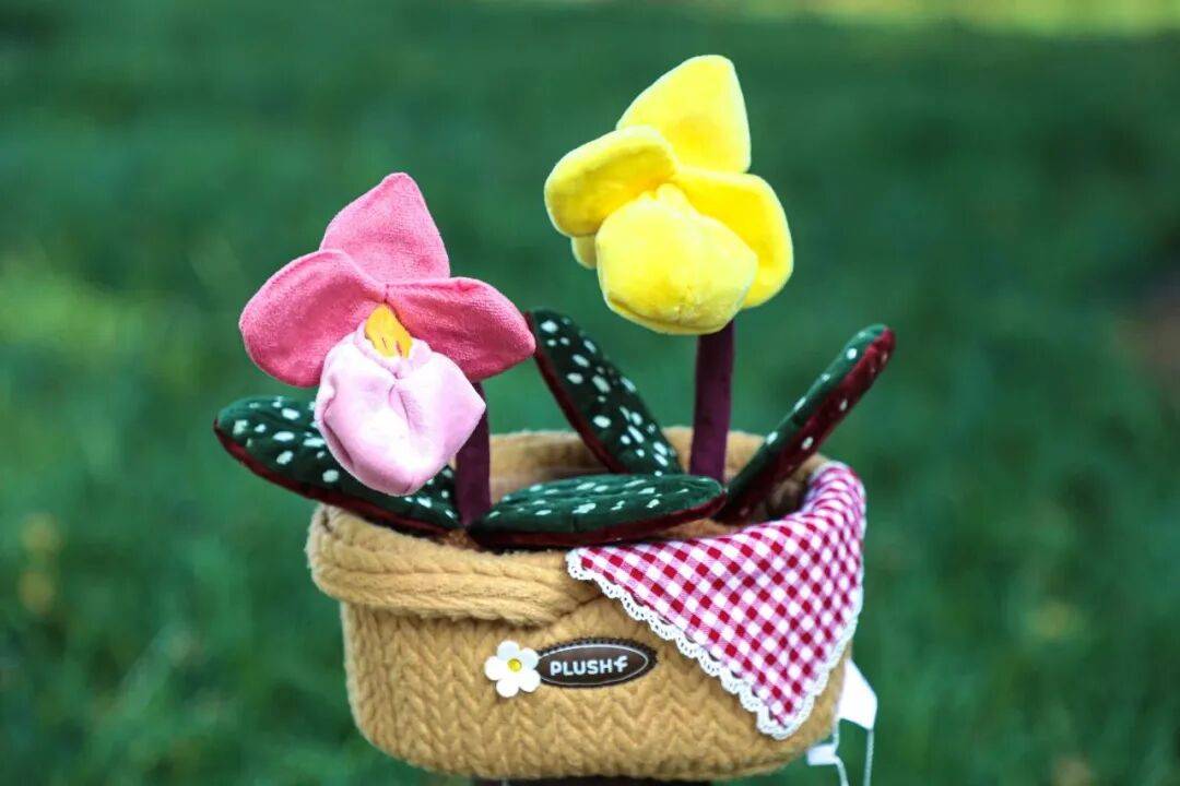 绝美！北京秋季颜值已达巅峰！这样定格最美秋天！