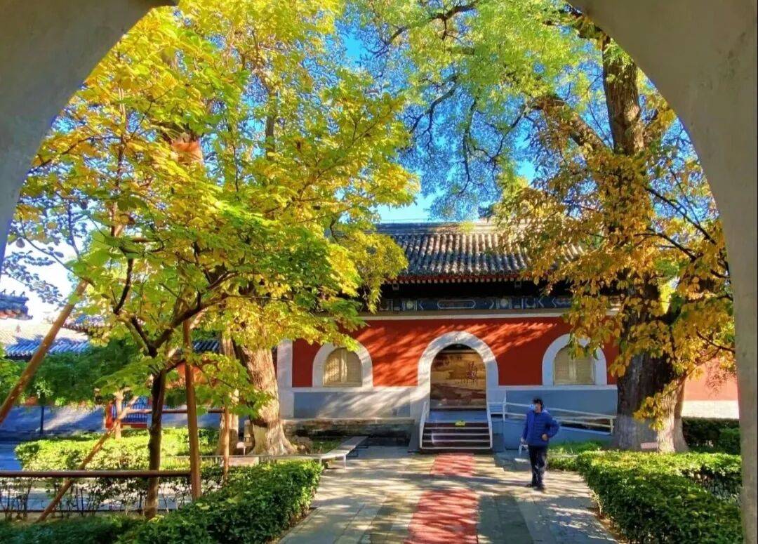 绝美！北京秋季颜值已达巅峰！这样定格最美秋天！