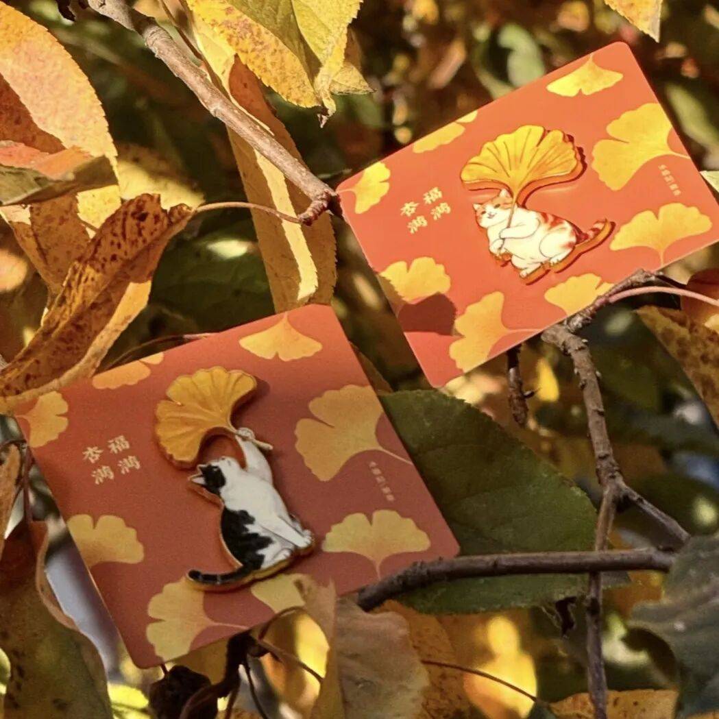 绝美！北京秋季颜值已达巅峰！这样定格最美秋天！