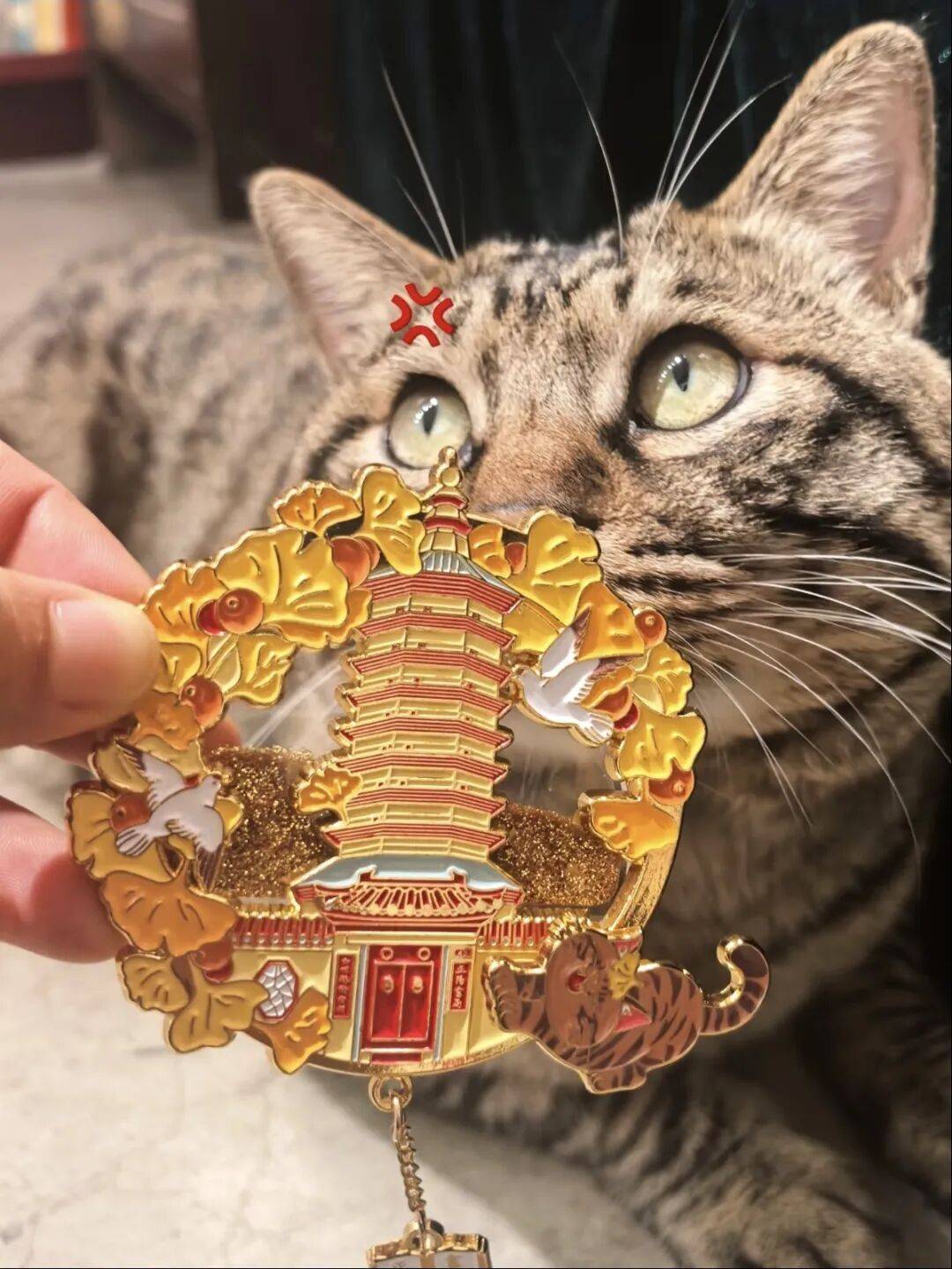 绝美！北京秋季颜值已达巅峰！这样定格最美秋天！