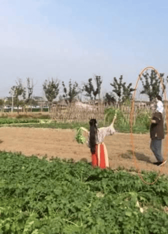 考古|张纪中夫妻备孕第五胎！44岁妻子四年三胎，他们要将生孩子进行到底了
