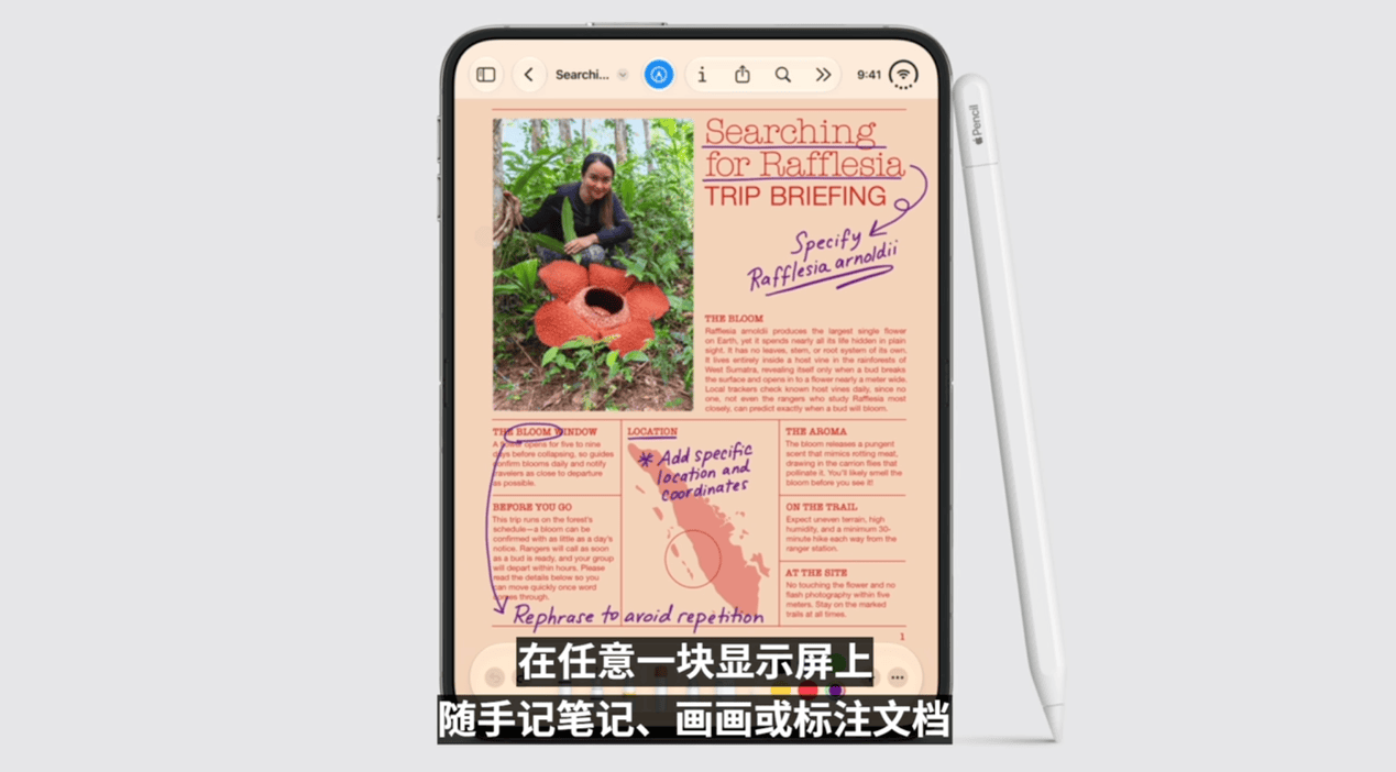 一文看懂苹果发布会：新掌舵人首秀、全新A20 Pro芯片、首款折叠屏iPhone起售价15999元