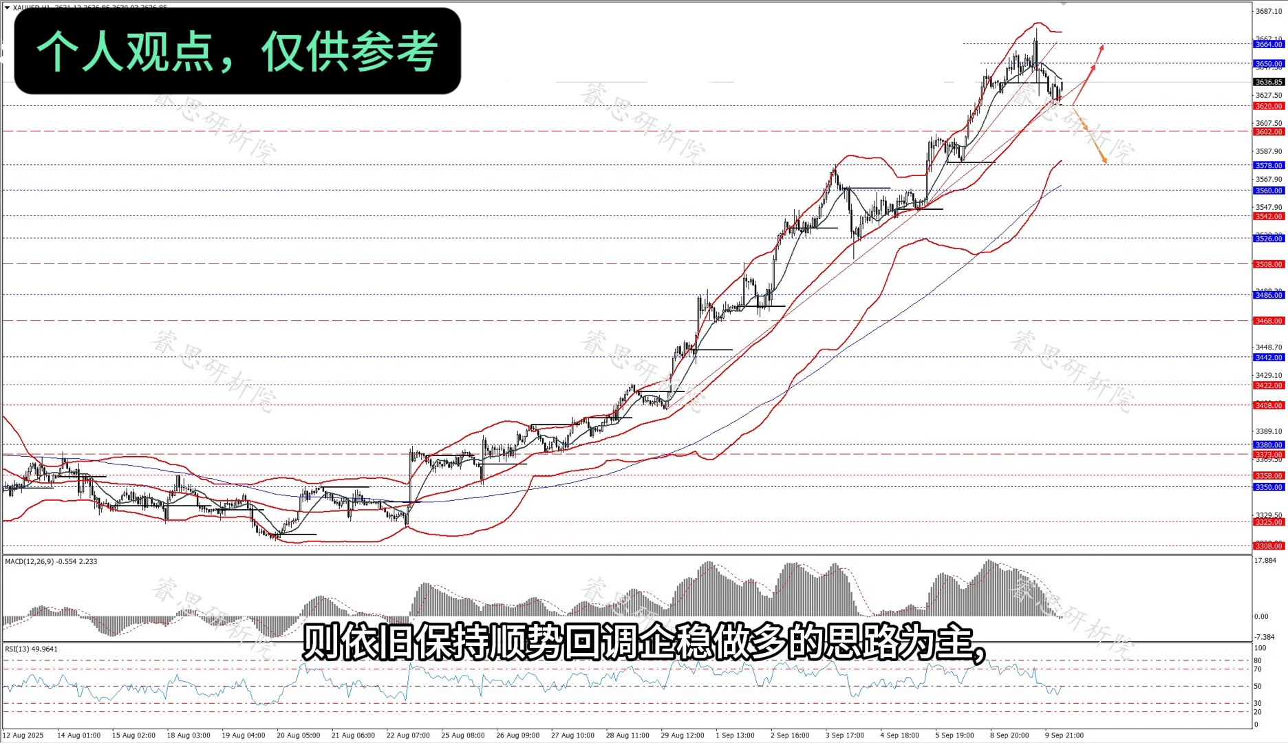 shib行情(shibby行情)