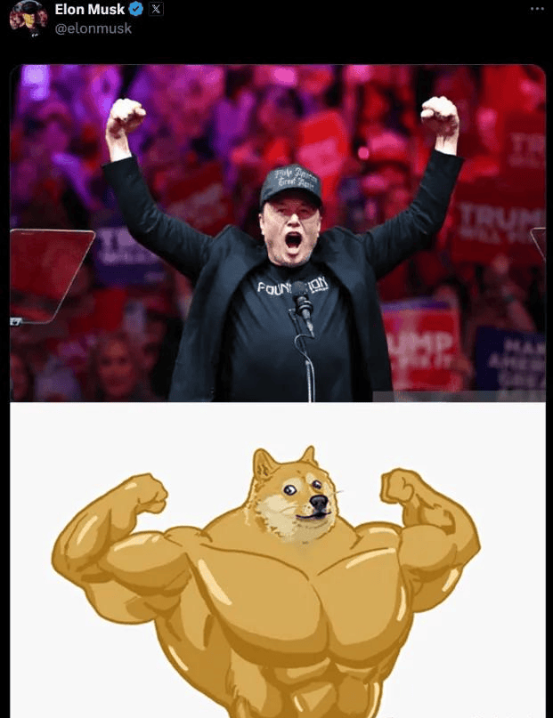 doge是什么意思(doge币今日价格行情)