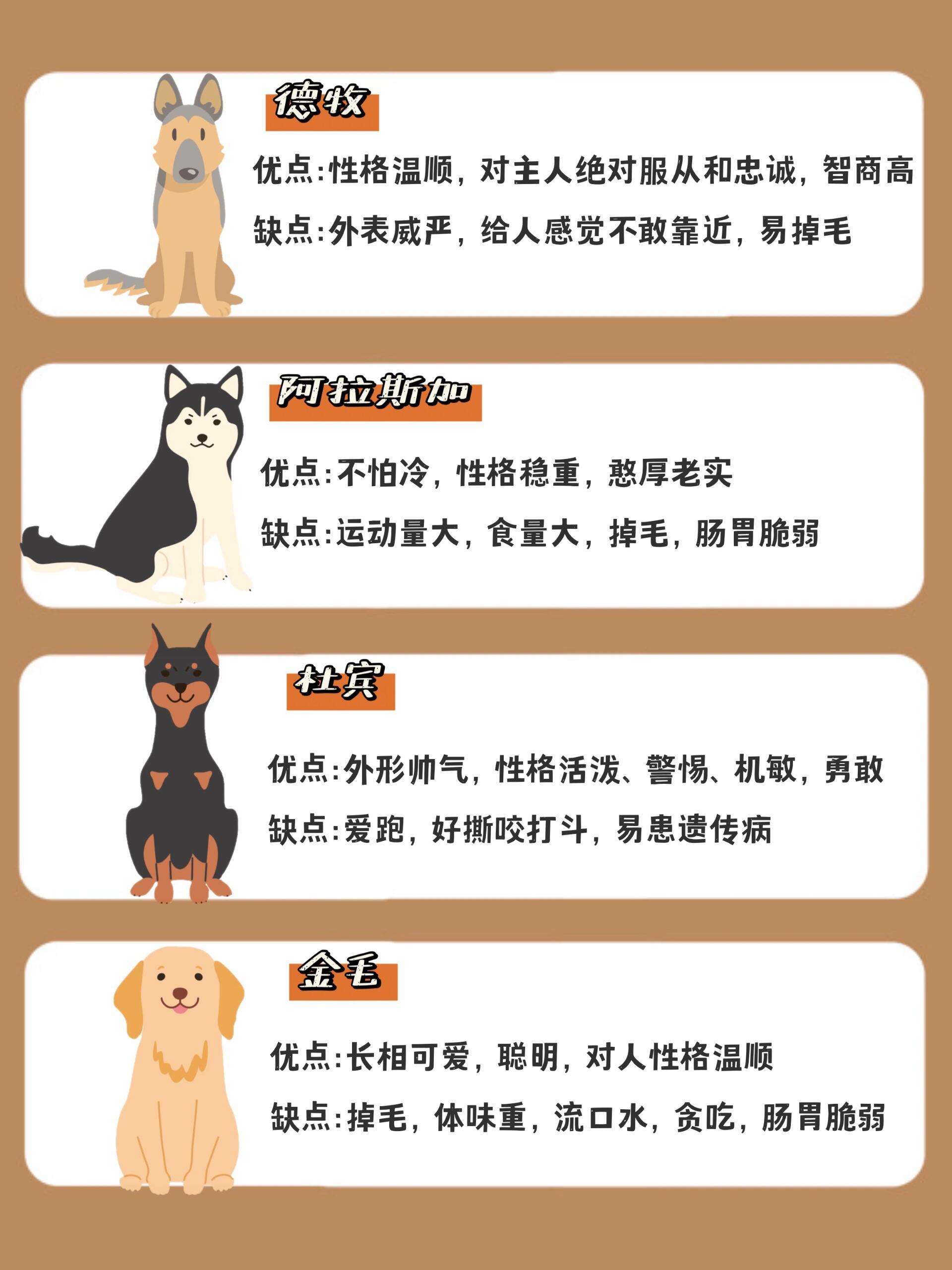 doge是什么意思(doge是什么意思网络用语)